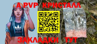 крисы Камышлов