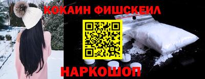 крисы Камышлов
