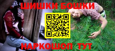 крисы Камышлов