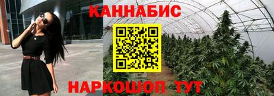 крисы Камышлов