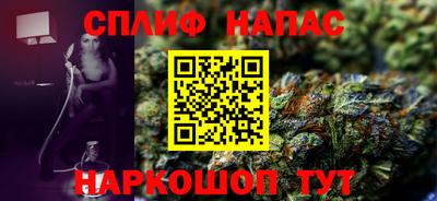 крисы Камышлов